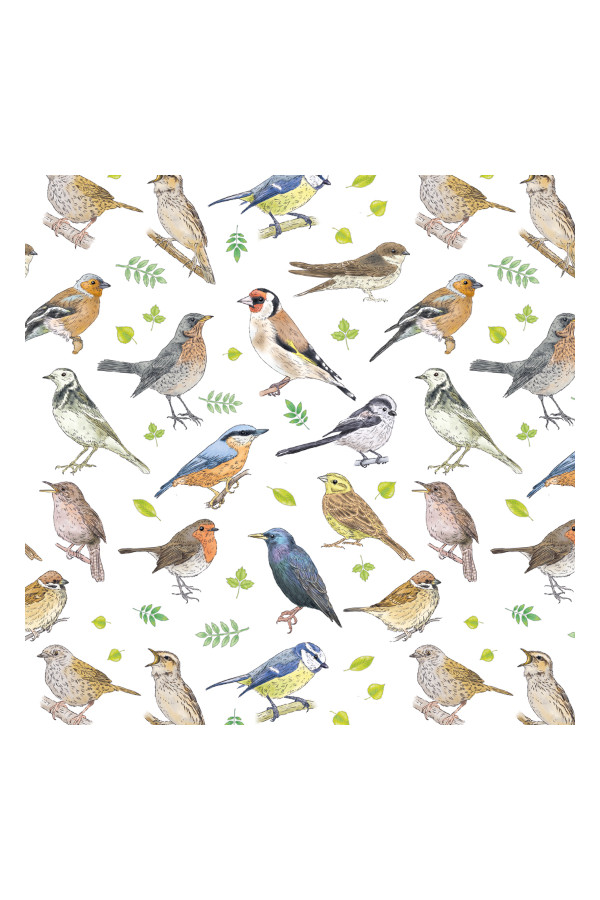 Bird Song | SIRÜSTÜ DEKAL