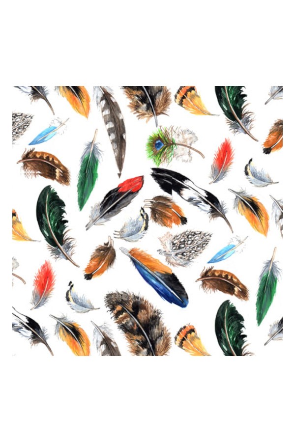 Feathers | SIRÜSTÜ DEKAL