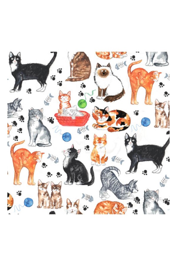 Cats | SIRÜSTÜ DEKAL